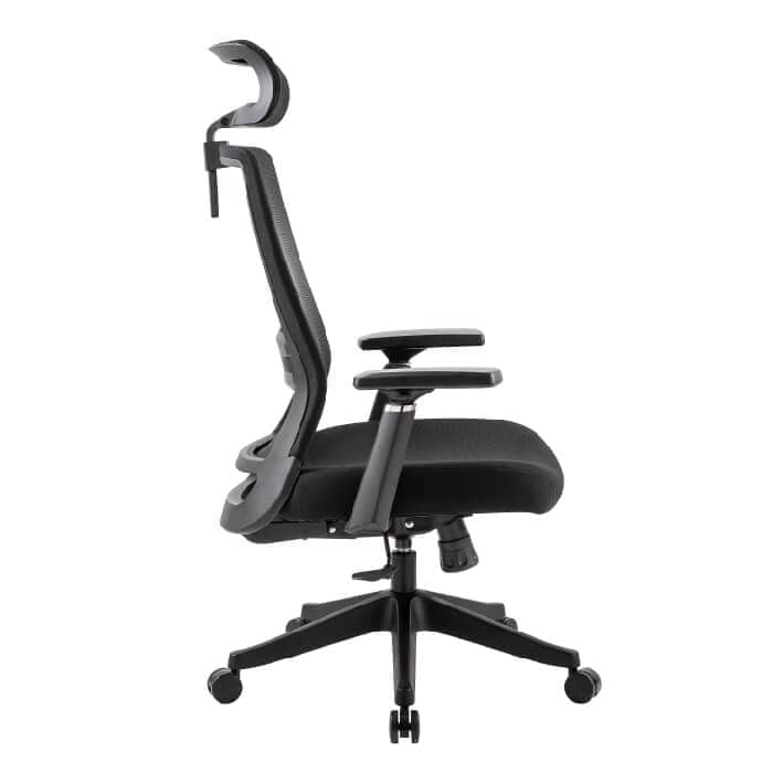 Argon Ergonomic Chair