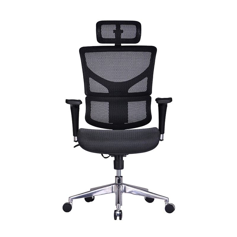 Asci Ergonomic Chair
