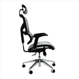 Ergonomic chair for home office with dynamic lumbar support, fully mesh (chair and seat), and highly adjustable. Designed to provide the best support for your back during long hours of work. Built with the best materials including a special breathable mesh that keeps you cool all day.