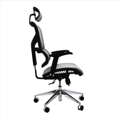 Asci Ergonomic Chair