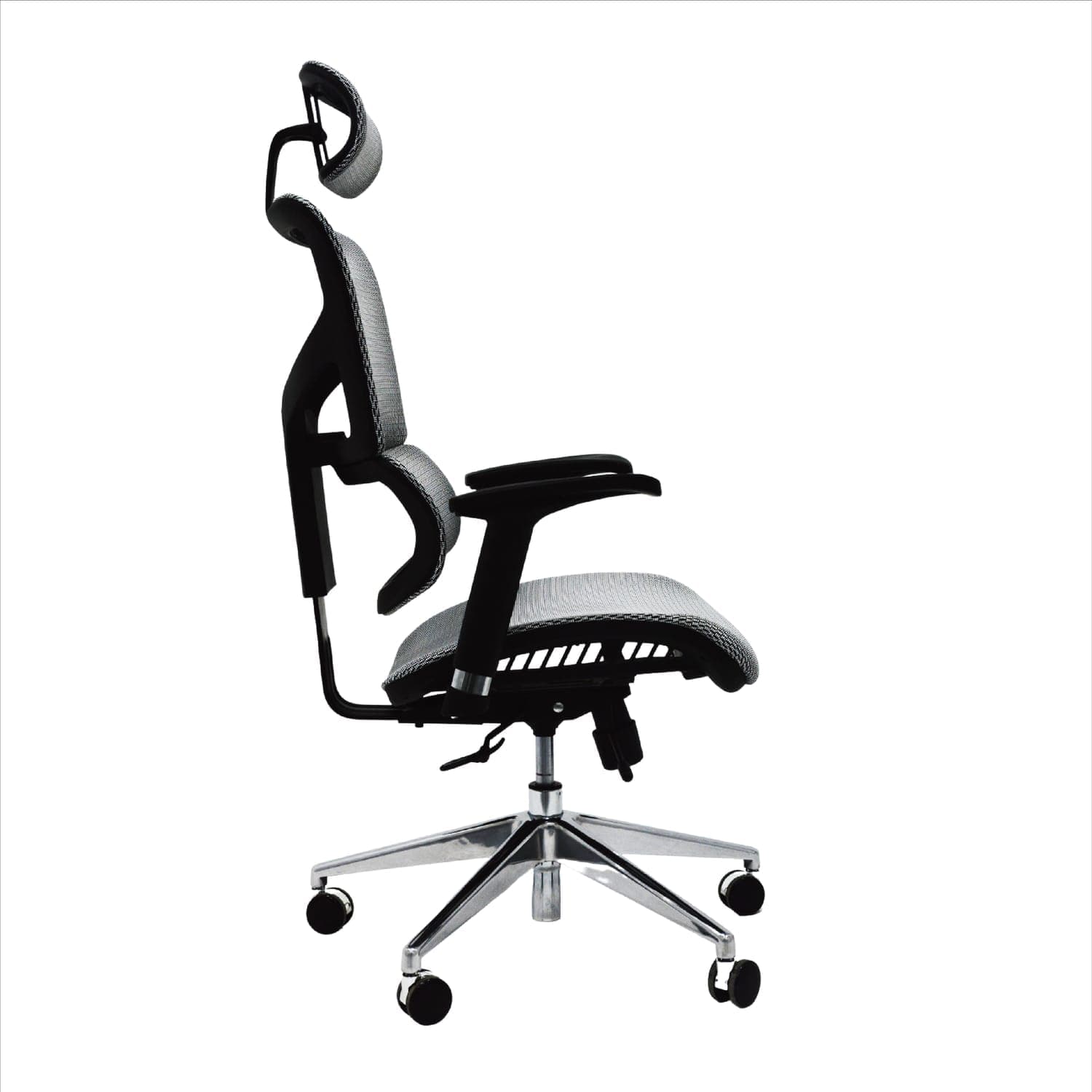 Asci Ergonomic Chair