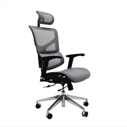 Ergonomic chair for home office with dynamic lumbar support, fully mesh (chair and seat), and highly adjustable. Designed to provide the best support for your back during long hours of work. Built with the best materials including a special breathable mesh that keeps you cool all day.