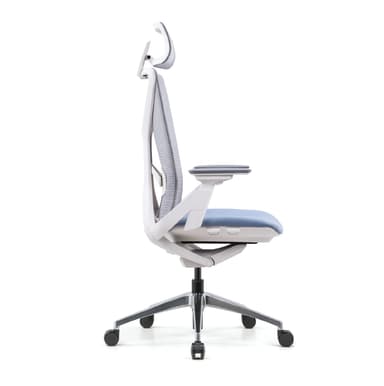 Axis Ergonomic Chair
