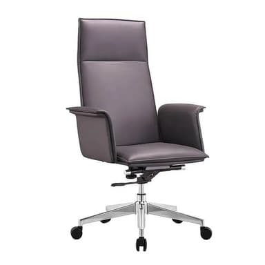 Stratus Ergonomic Executive Chair