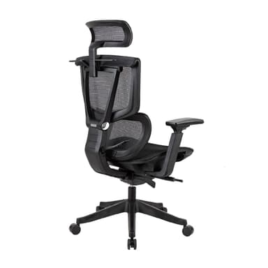 Ergonomic Chair Jargon X