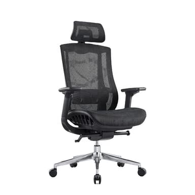 Parser Ergonomic Chair