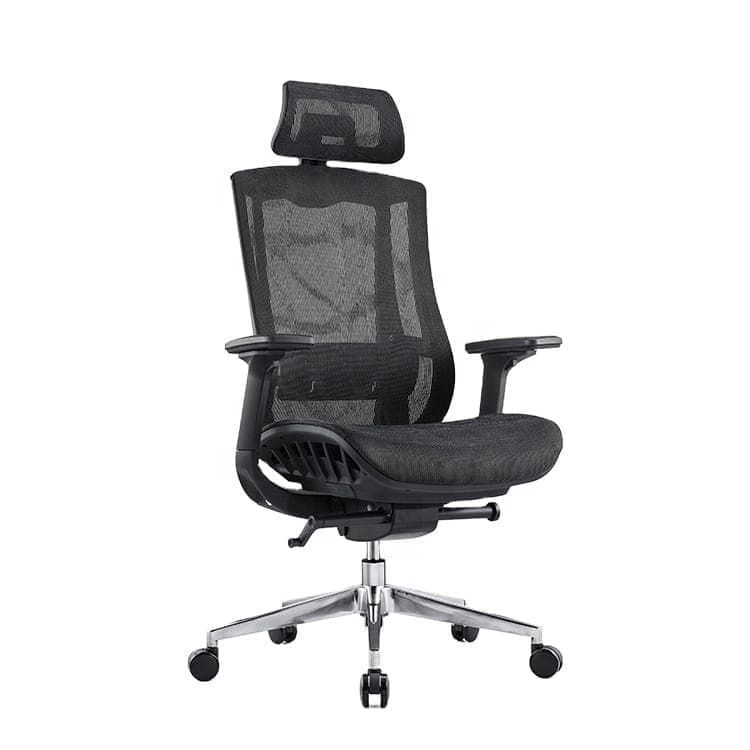 Parser Ergonomic Chair