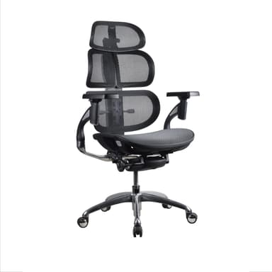 Phaser Ergonomic Chair
