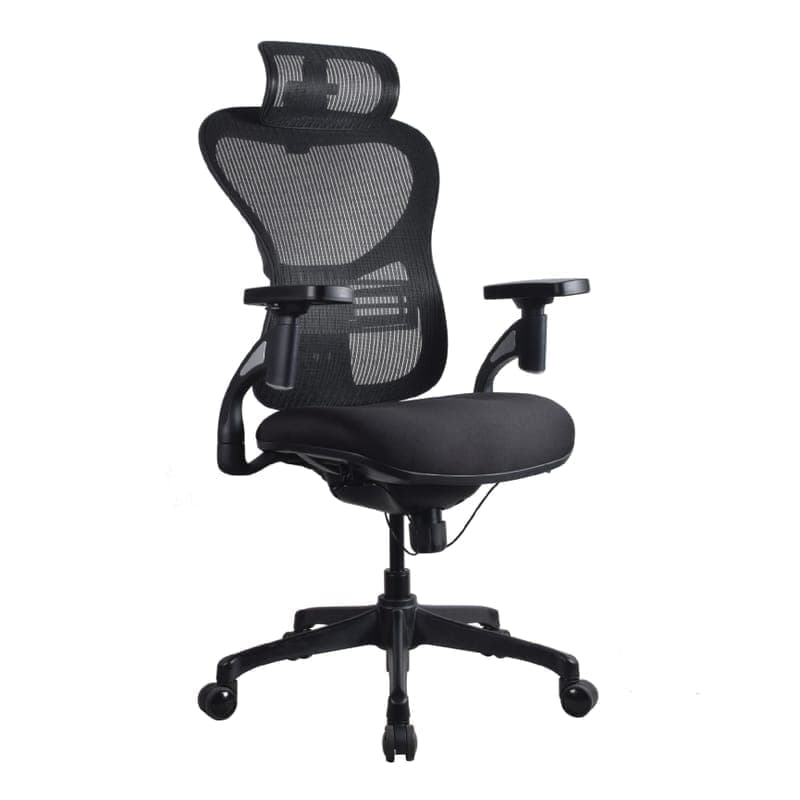 Radix Ergonomic Chair