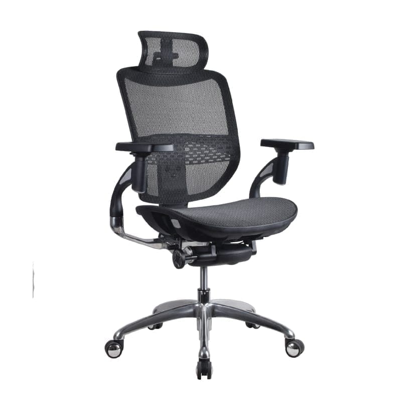 Scripter Ergonomic Chair