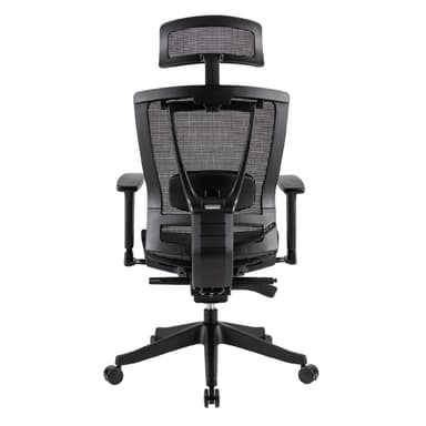 Somatic Ergonomic Chair