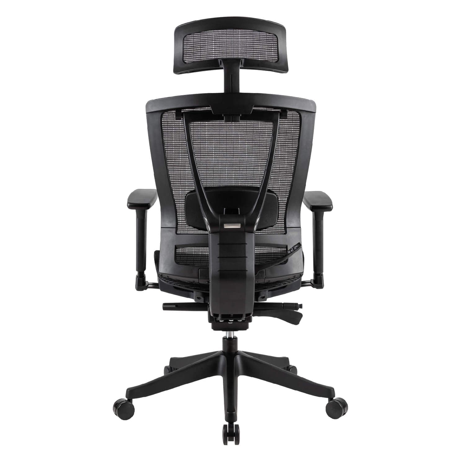 Somatic Ergonomic Chair