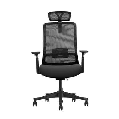 Synapse Ergonomic Chair