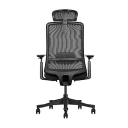 Ergonomic home office chair with a modern design, mesh backrest, and 8cm thick high-density molded foam seat. This chair provides extreme comfort and excellent support for the entire back. Specially designed for professionals who spend many hours a day sitting in front of a computer.
