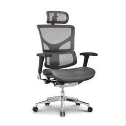 Ergonomic home office chair for the most demanding professional. With its dynamic lumbar support, high adjustability/functionality, and human-centered design; the XTC provides excellent support for the entire back, helping you maintain a better posture and a healthier body. Built with a solid aluminum alloy back frame, highest-quality materials, and highly resistant breathable mesh, this chair will last you a long time. The best office setup is not complete without the best chair.