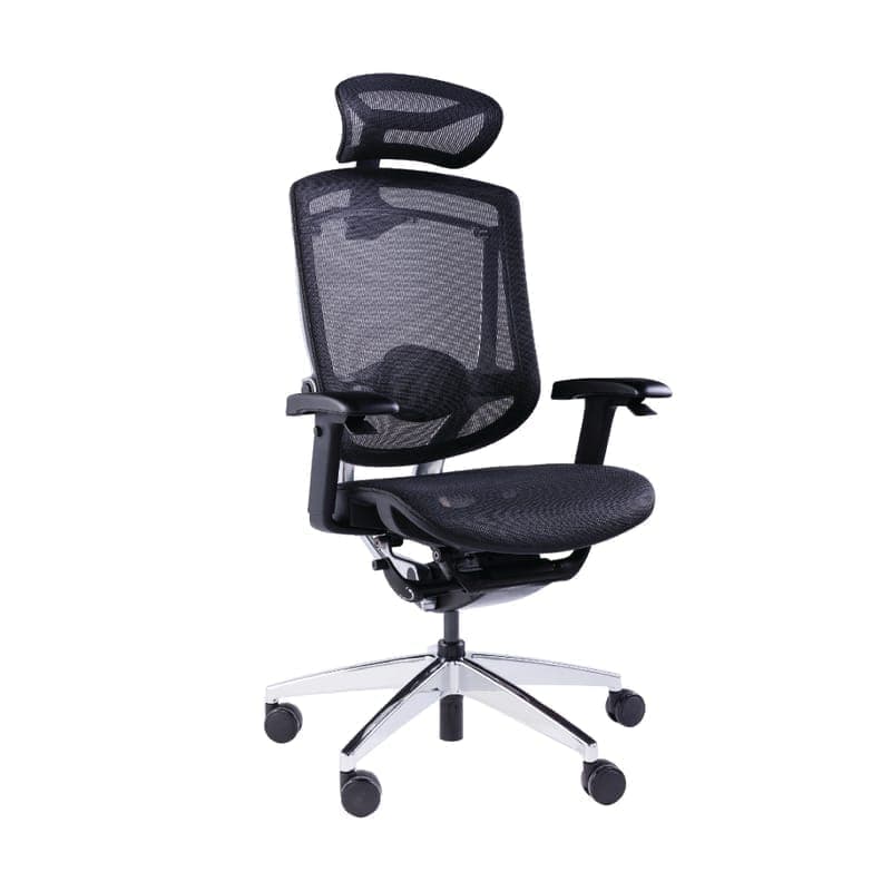 Ergonomic Chairs